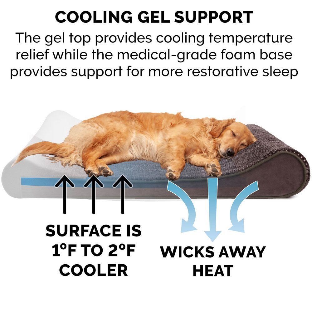 MNKYPLSH-VLVTLUX-LUNGER-MMRYTP-PTBD-ESPRESO-LG