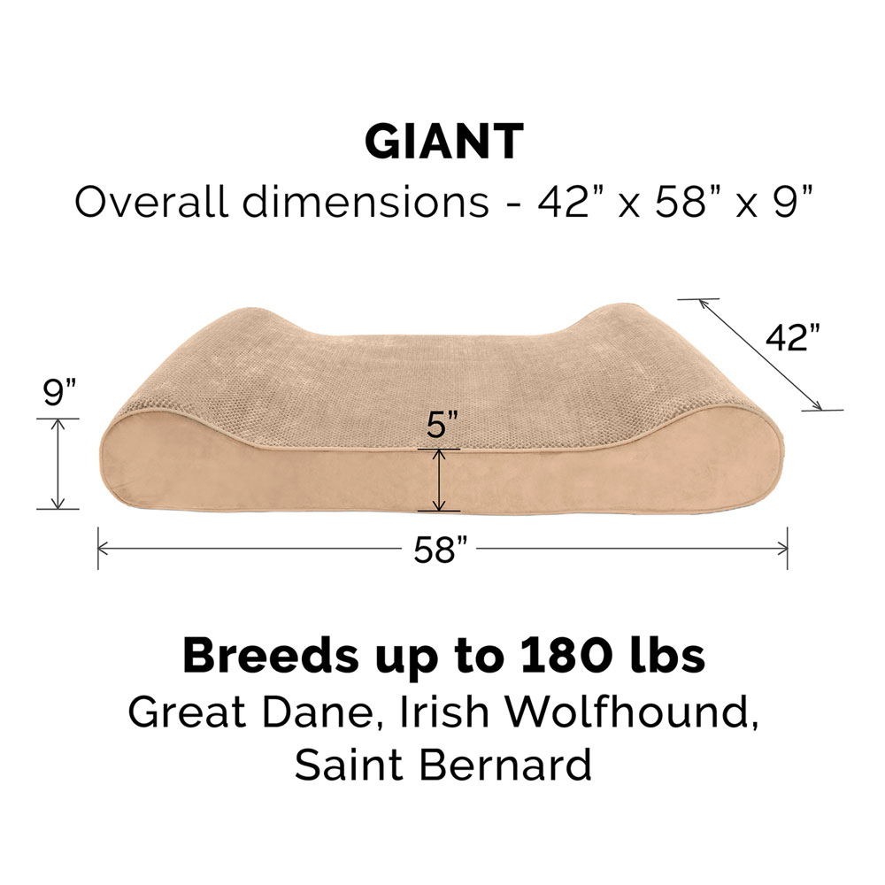 MINKYPLSH-VLVTLUX-LUNGRORTHPDIC-PTBD-GRY-GIANT