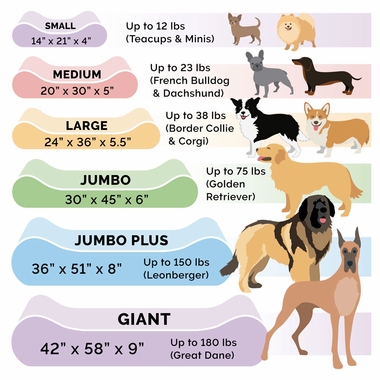 MINKYPLSH-VLVTLUX-LUNGRORTHPDIC-PTBD-GRY-GIANT