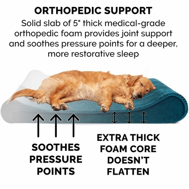 MINKYPLSH-VLVTLUX-LUNGRORTHPDIC-PTBD-SPRCEBLU-GIANT