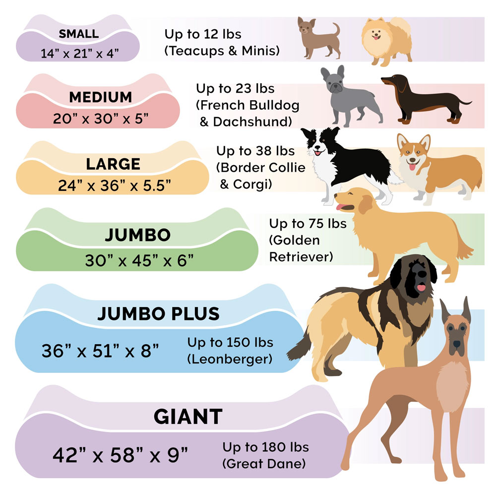 MINKYPLSH-VLVTLUX-LUNGRORTHPDIC-PTBD-SPRCEBLU-GIANT