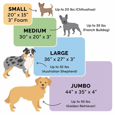 PWDECR-PRNTDLX-COLNGGLTP-PTBD-JDEGRN-SM