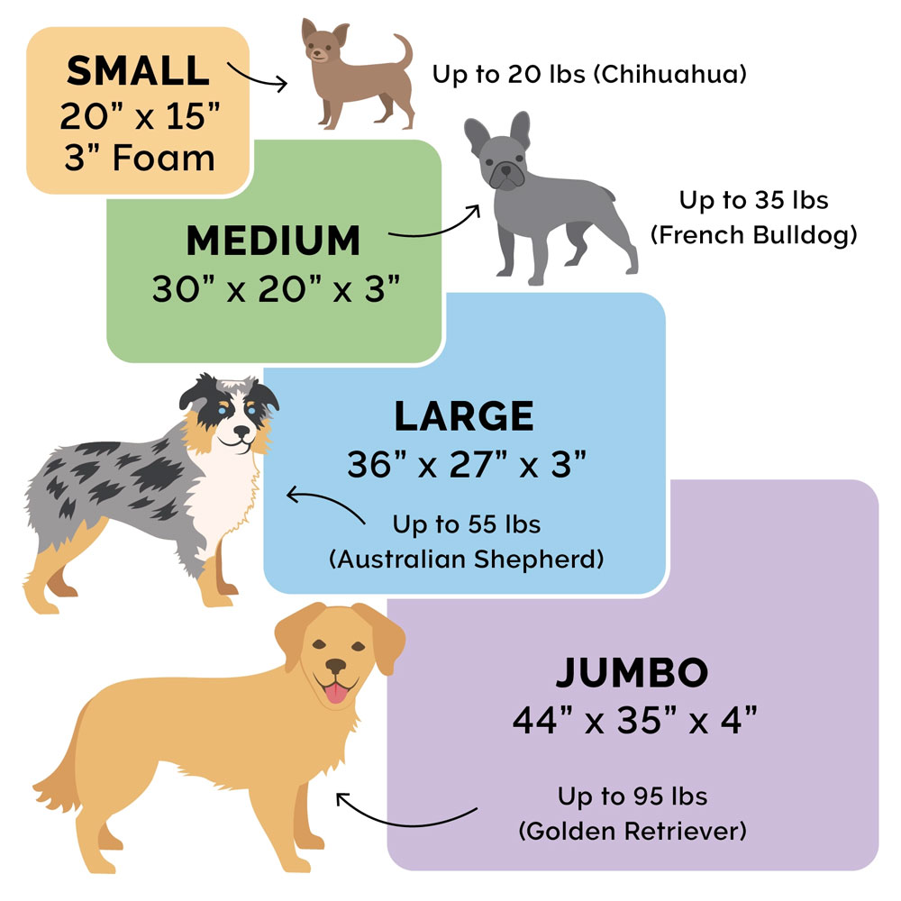 PWDECR-PRNTDLX-COLNGGLTP-PTBD-JDEGRN-SM