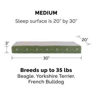 PWDECR-PRNTDLX-COLNGGLTP-PTBD-TWILGHTBLU-MD