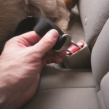 PET-CAR-SEAT-CLIP-LAGOON-BLUE