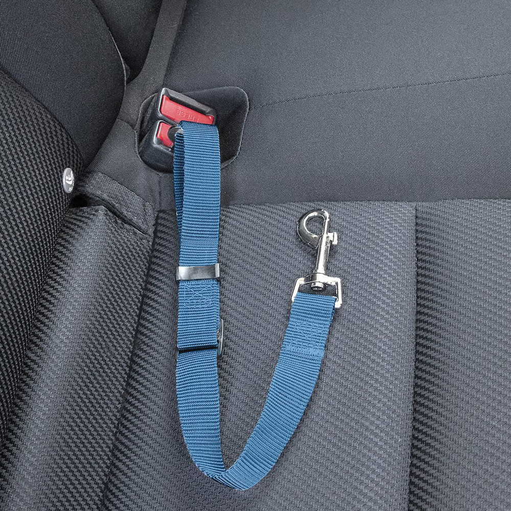 PET-CAR-SEAT-CLIP-LAGOON-BLUE
