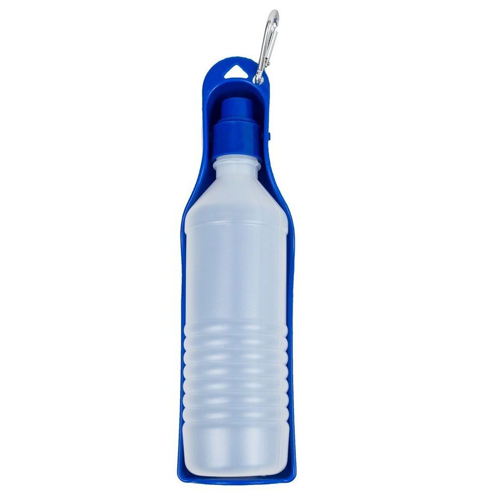 PTWTERBTTLE-500ML-BLUE