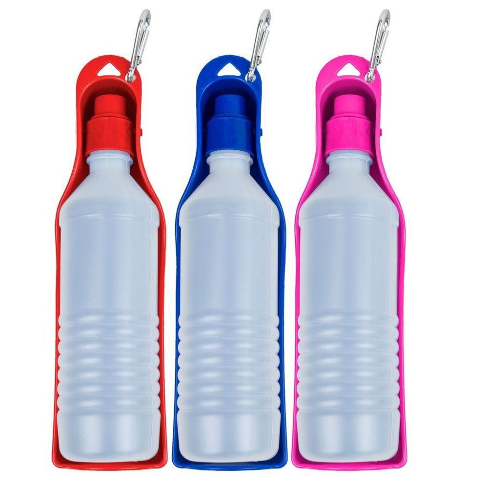 PTWTERBTTLE-500ML-BLUE