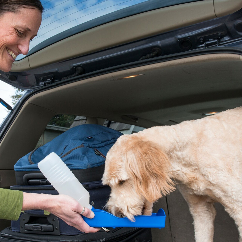 PTWTERBTTLE-500ML-BLUE