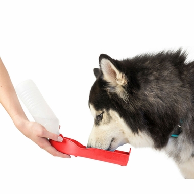 PTWTERBTTLE-500ML-BLUE