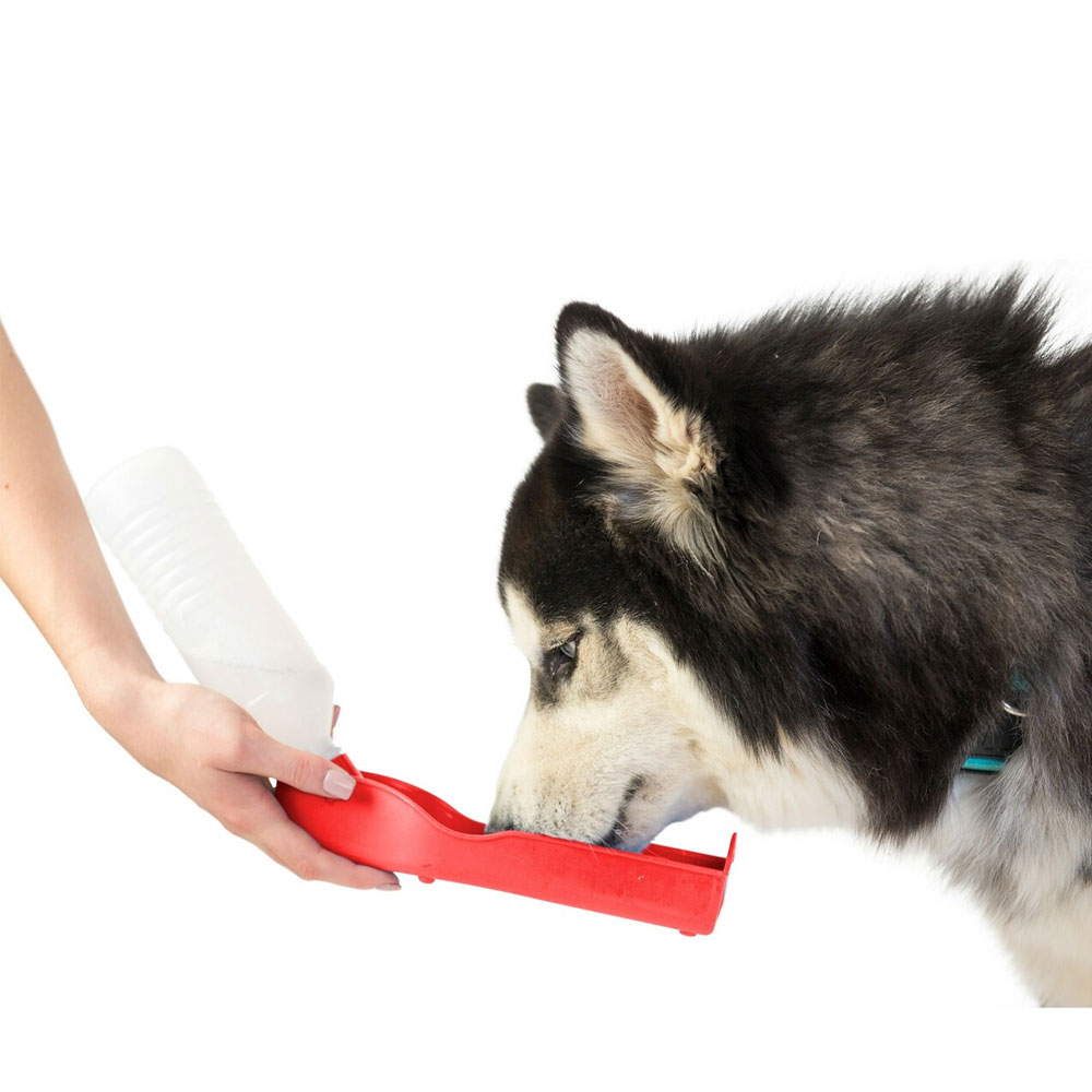 PTWTERBTTLE-500ML-RED