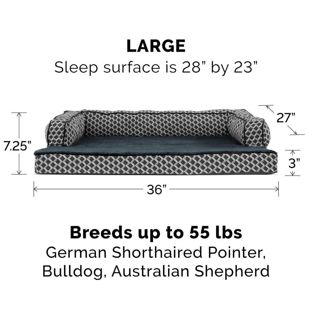 PLSHDECR-CMFYCUCH-COLINGGEL-TPSHRT-SIDDSFA-PTBD-DIMNDBLU-LG