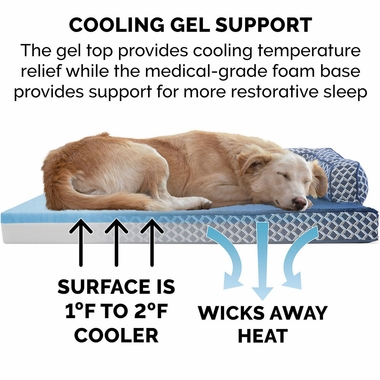 PLSHDECR-CMFYCUCH-COLINGGEL-TPSHRT-SIDDSFA-PTBD-DIMNDBLU-MD