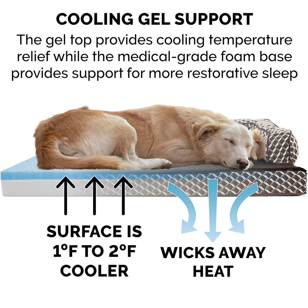 PLSHDECR-CMFYCUCH-COLINGGEL-TPSHRT-SIDDSFA-PTBD-DIMNDBRWN-JMB