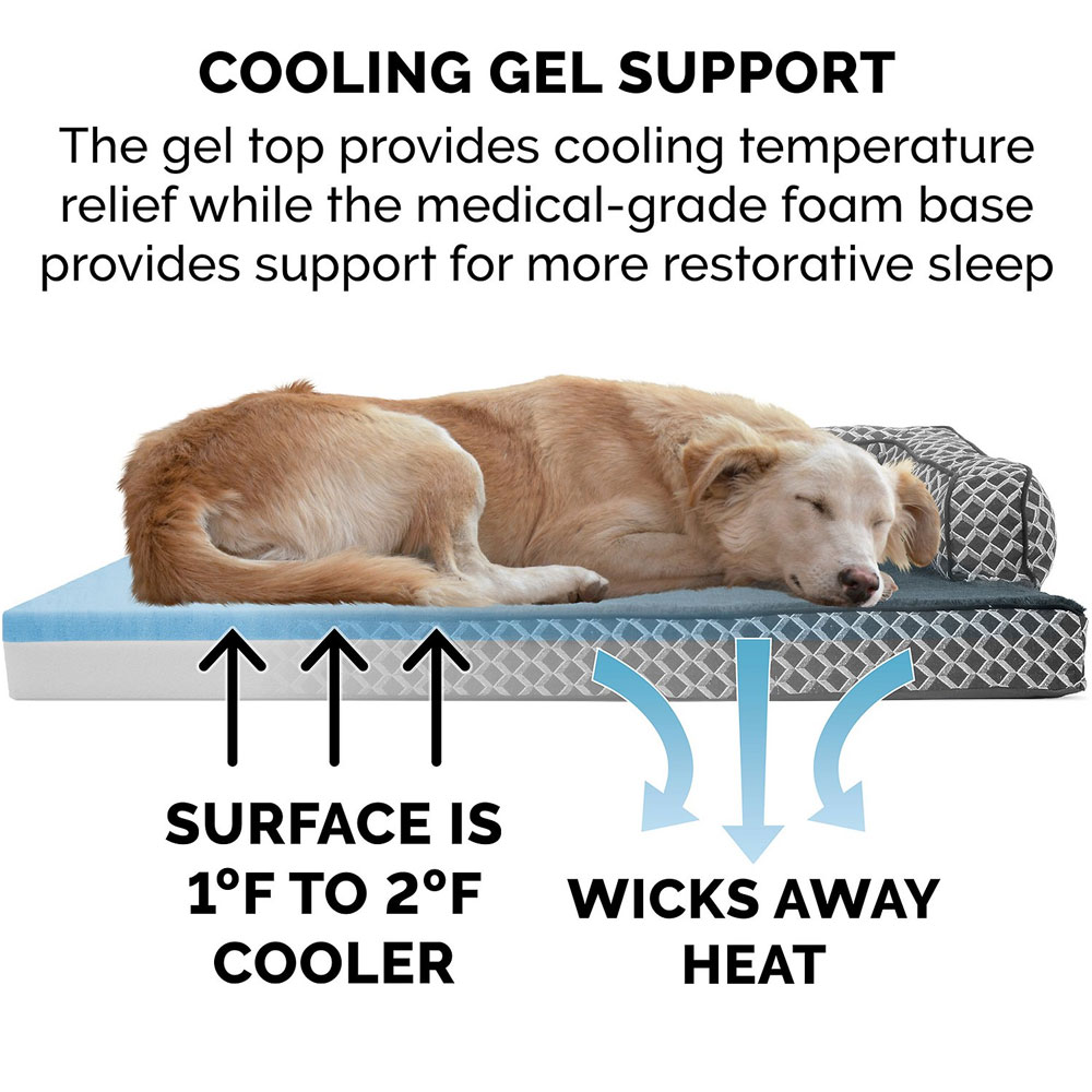 PLSHDECR-CMFYCUCH-COLINGGEL-TPSHRT-SIDDSFA-PTBD-DIMNDGRY-JMB