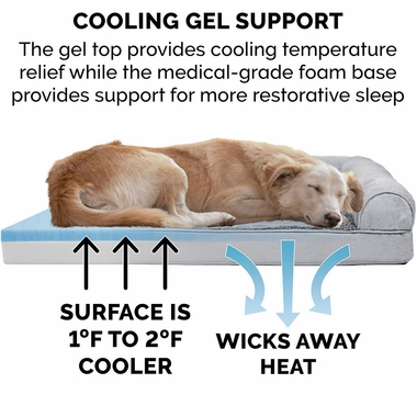 PLSHSUEDE-COLINGGEL-TPSOFA-PTBD-GRAY-SM