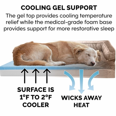 PLSHVLVT-CMFYCUCH-COLINGGEL-TPSFA-STYLE-PTBD-ALMONDINE-MD