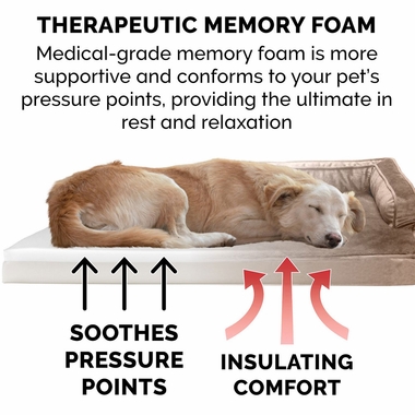 PLUSH-VLVT-COMFY-COUCH-ORTHPDC-SOFASTYL-PTBD-ALMNDNE-LG