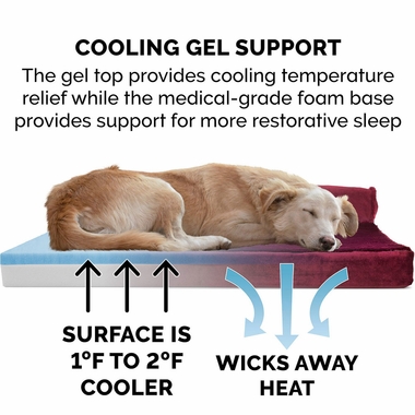 PLSHVLVTDLX-CHISELONGE-COLINGGEL-TPSOFPTBD-MRLOTRD-JMBPLS