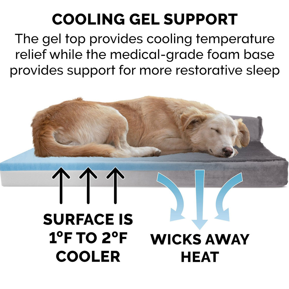 PLSHVLVTDLX-CHISELONGE-COLINGGEL-TPSOFPTBD-PLATMGRY-LG