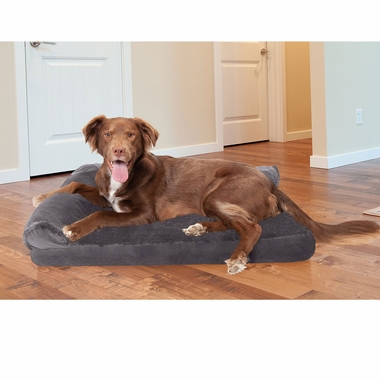 PLSHVLVTDLX-CHISELONGE-COLINGGEL-TPSOFPTBD-PLATMGRY-MD