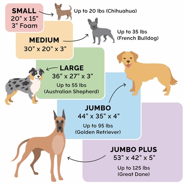 PLSHVLVTDLX-CHISELONGE-COLINGGEL-TPSOFPTBD-PLATMGRY-MD