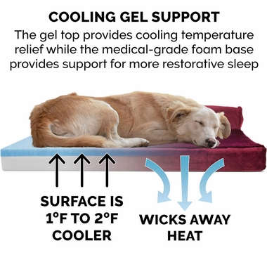 PLSHVLVT-DLX-CHISELUNGE-MMRY-TPSOFA-PTBD-MERLOTRD-LG