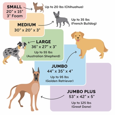 PLSHVLVT-DLX-CHISELUNGE-MMRY-TPSOFA-PTBD-PLTINMGRY-JMBPLS