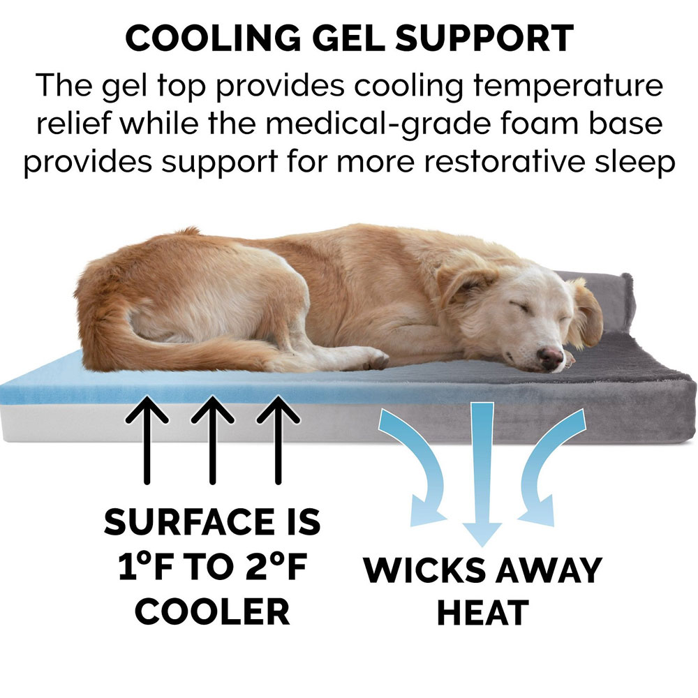 PLSHVLVT-DLX-CHISELUNGE-MMRY-TPSOFA-PTBD-PLTINMGRY-LG