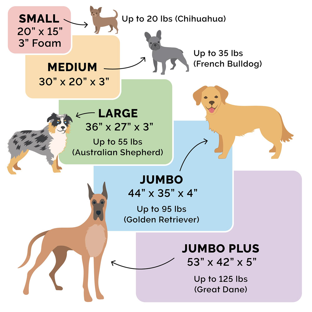 PLSHVLVT-DLX-CHISELUNGE-MMRY-TPSOFA-PTBD-SBLEBRWN-JMBPLS