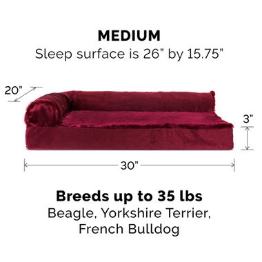 PLSHVLVT-DLX-CHISELUNGE-MMRY-TPSOFA-PTBD-SBLEBRWN-MD