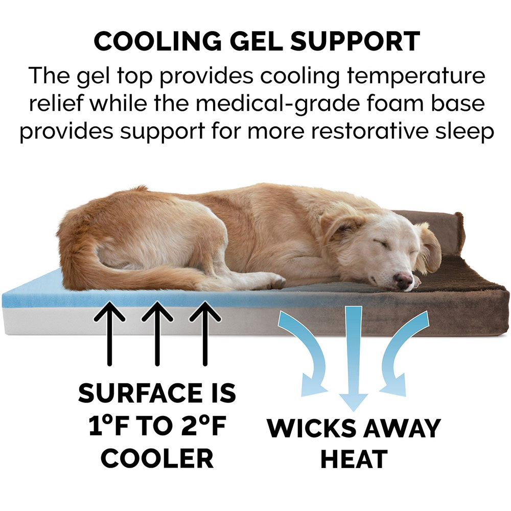 PLSHVLVT-DLX-CHISELUNGE-MMRY-TPSOFA-PTBD-SBLEBRWN-MD