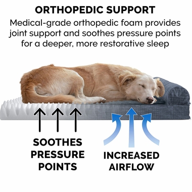 QULTDFLECE-PINTSUDE-CHASELUNGE-COLINGGEL-TPSOFAPTBD-DRKBLU-MD