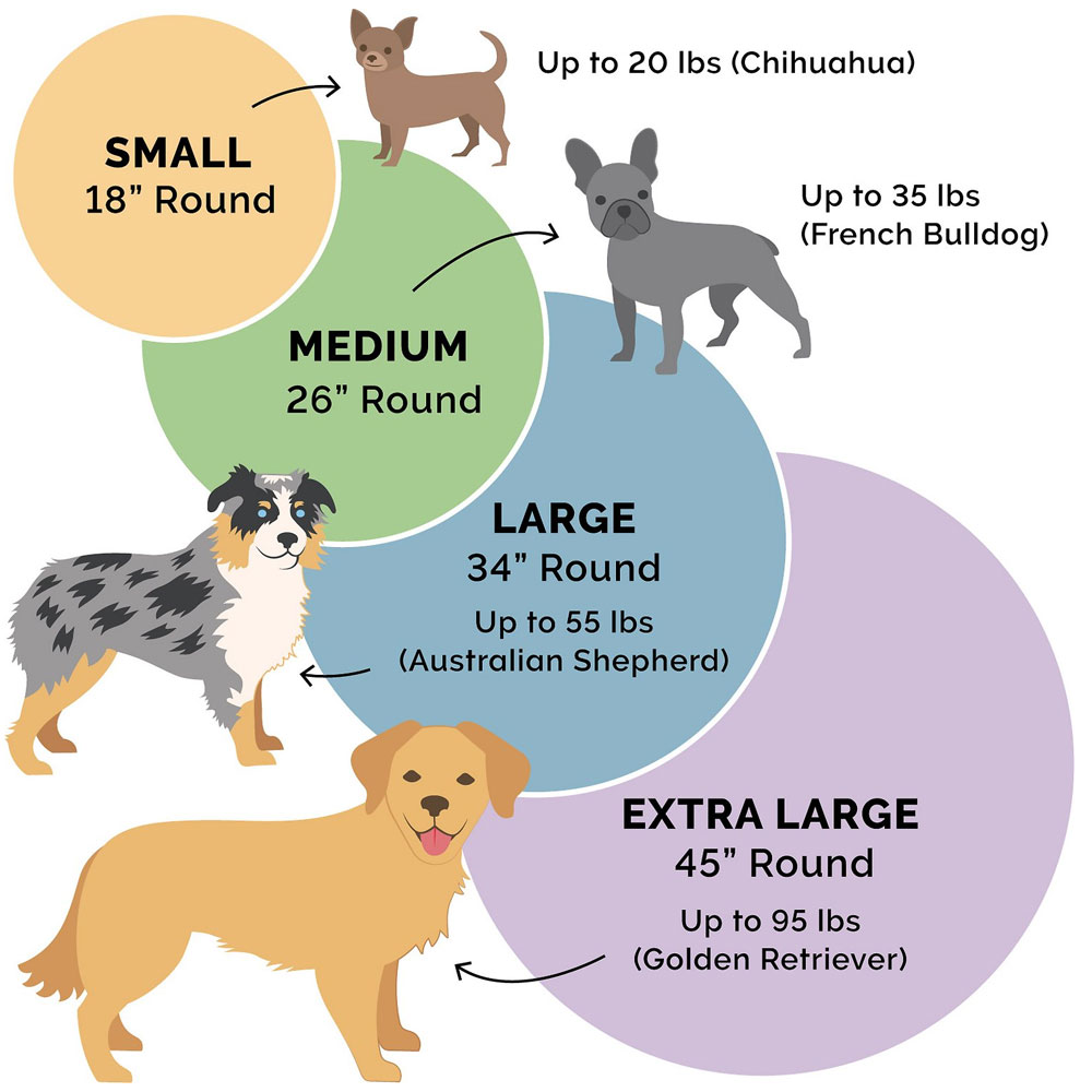 ROUND-PLUSH-BALL-PTBD-SHELL-18