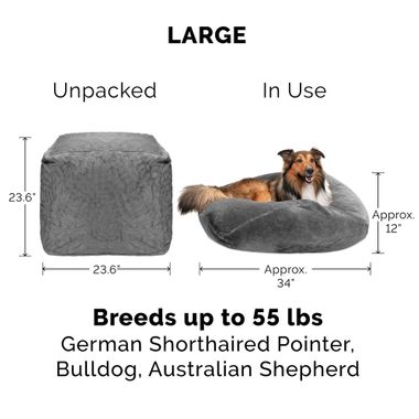 ROUND-PLUSH-BALL-PTBD-SHELL-34