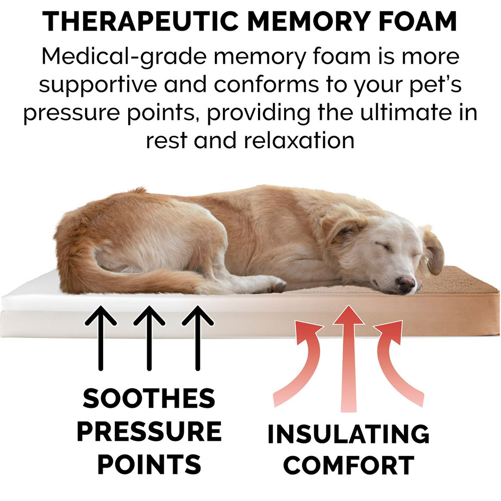 SNUGGLE-TERRY-SUDEDLX-PILLW-PTBD-CMEL-SM