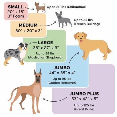 SNUGGLE-TERRY-SUDEDLX-PILLW-PTBD-CMEL-SM