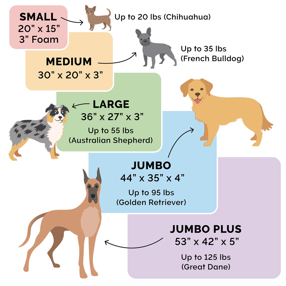 SNUGGLE-TERRY-SUDEDLX-PILLW-PTBD-FORST-MD