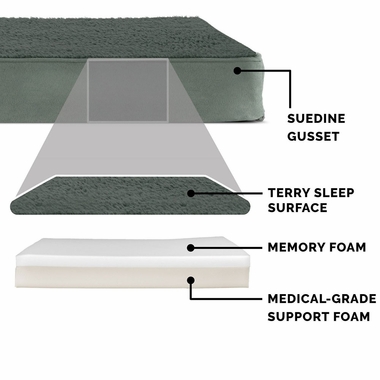 SNUGGLE-TERRY-SUDEDLX-PILLW-PTBD-FORST-SM
