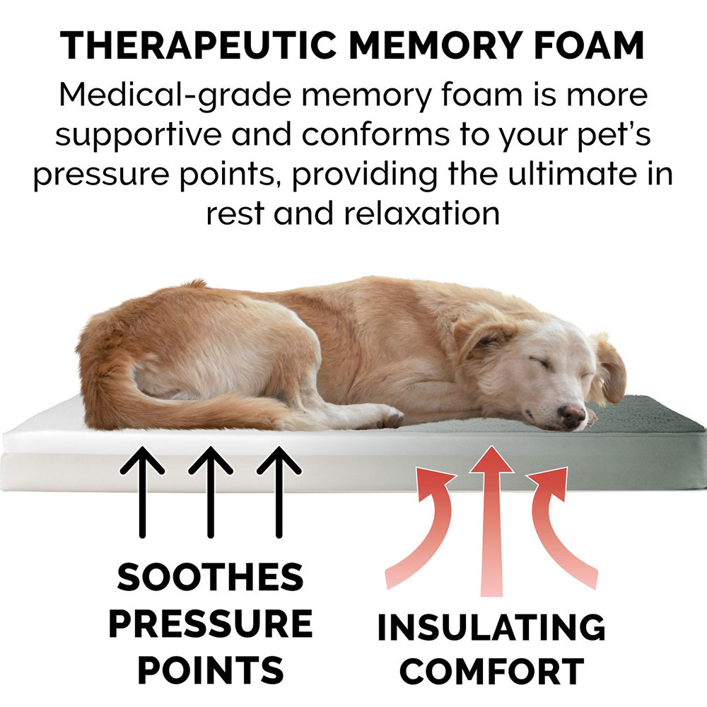 SNUGGLE-TERRY-SUDEDLX-PILLW-PTBD-FORST-SM