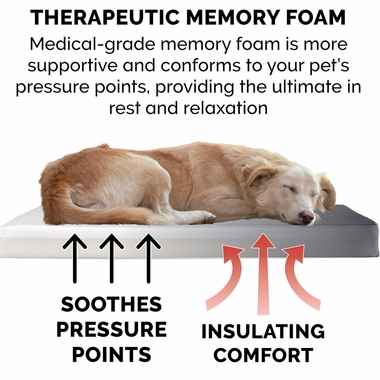 SNUGGLE-TERRY-SUDEDLX-PILLW-PTBD-GRAY-XLG