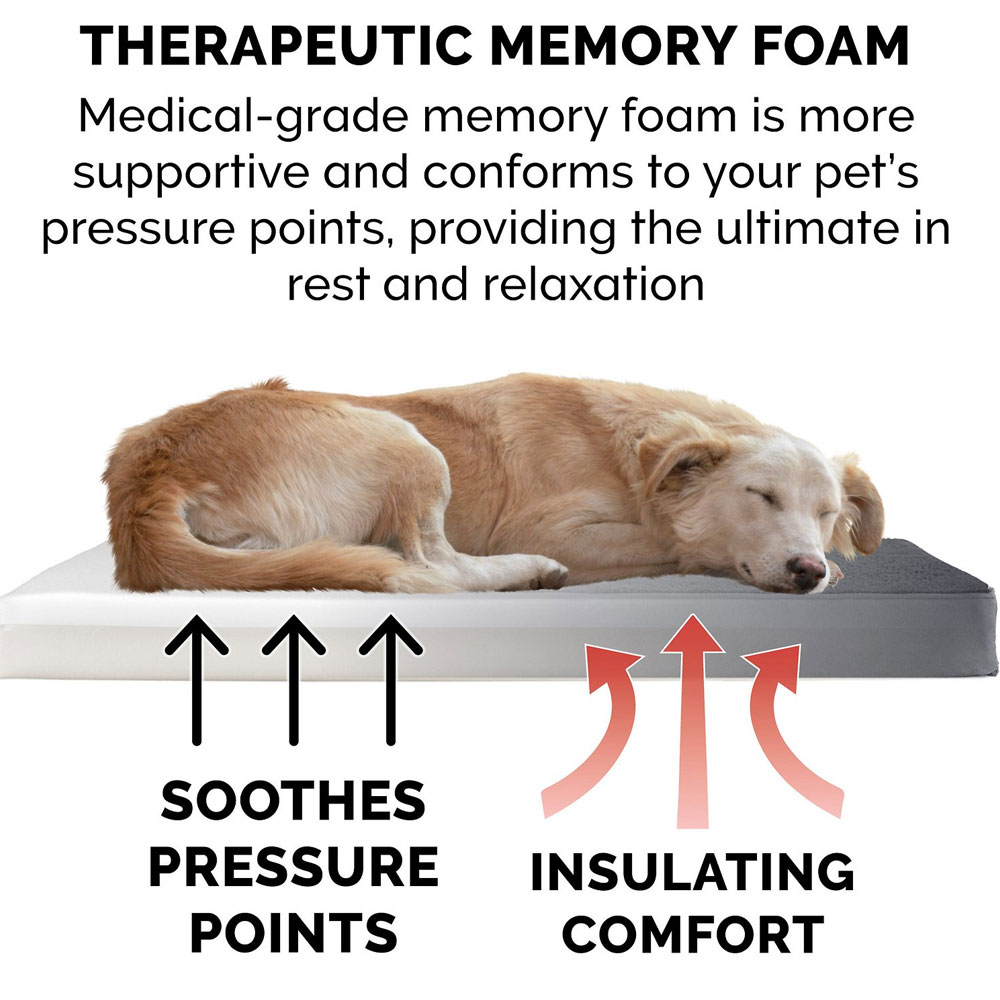 SNUGGLE-TERRY-SUDEDLX-PILLW-PTBD-GRAY-XLG