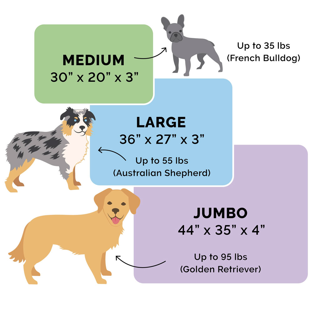 SOTHWSTKILM-DLX-CHISELONGE-COLINGGEL-TPSOFPTBD-DSERTBRWN-JMB