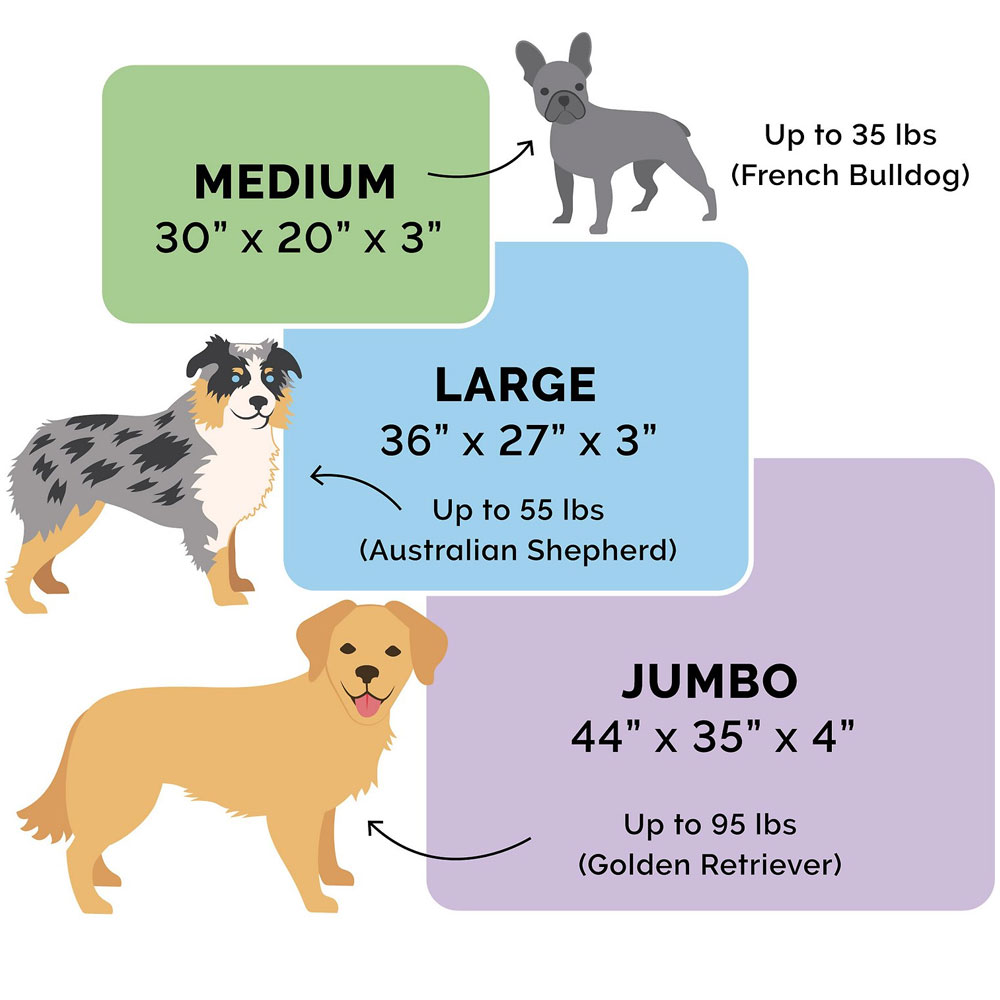 SOUTHWST-KILIM-DLX-CHIASE-LOUNGE-ORTHPDC-SOFASTYL-PTBD-BOLDERGRY-MD