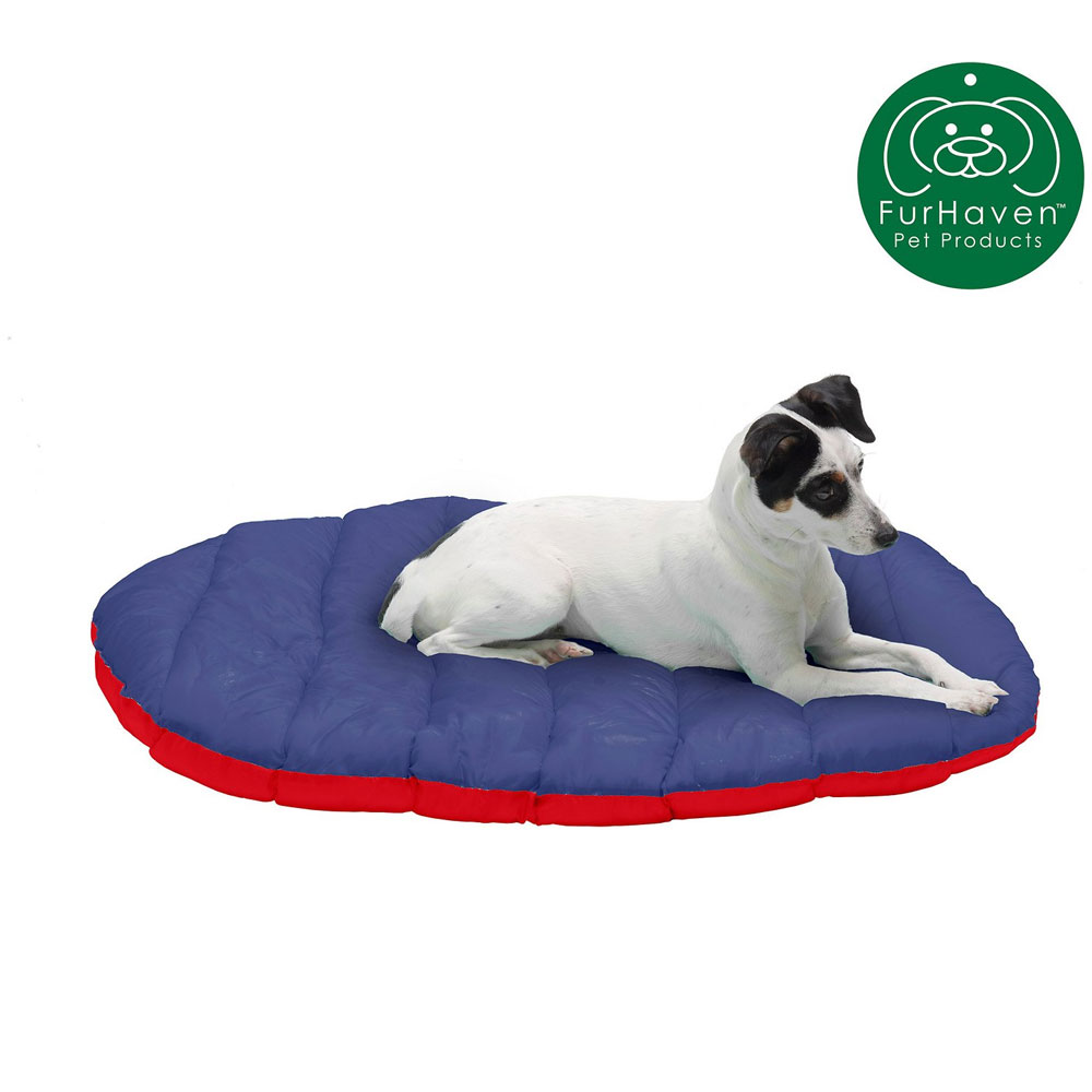 STFFSCK-TRVLBDBG-FLMERDTRUEBLU-SM