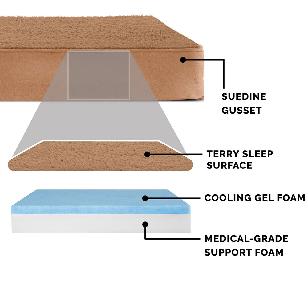TRRYSUDEDLX-COLNGGLTP-PTBD-CMEL-SM