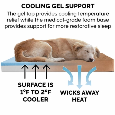 TRRYSUDEDLX-COLNGGLTP-PTBD-CMEL-SM