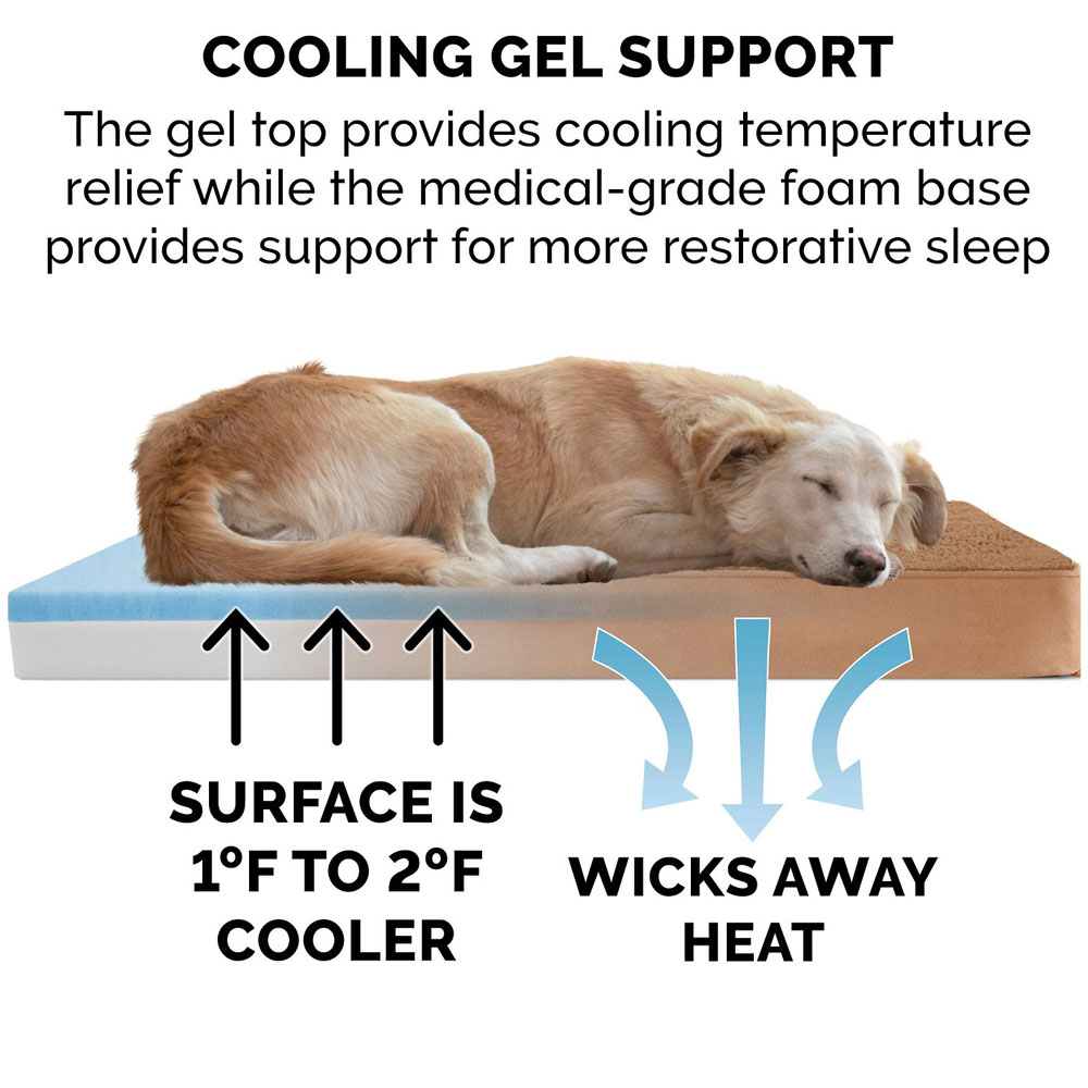 TRRYSUDEDLX-COLNGGLTP-PTBD-CMEL-SM