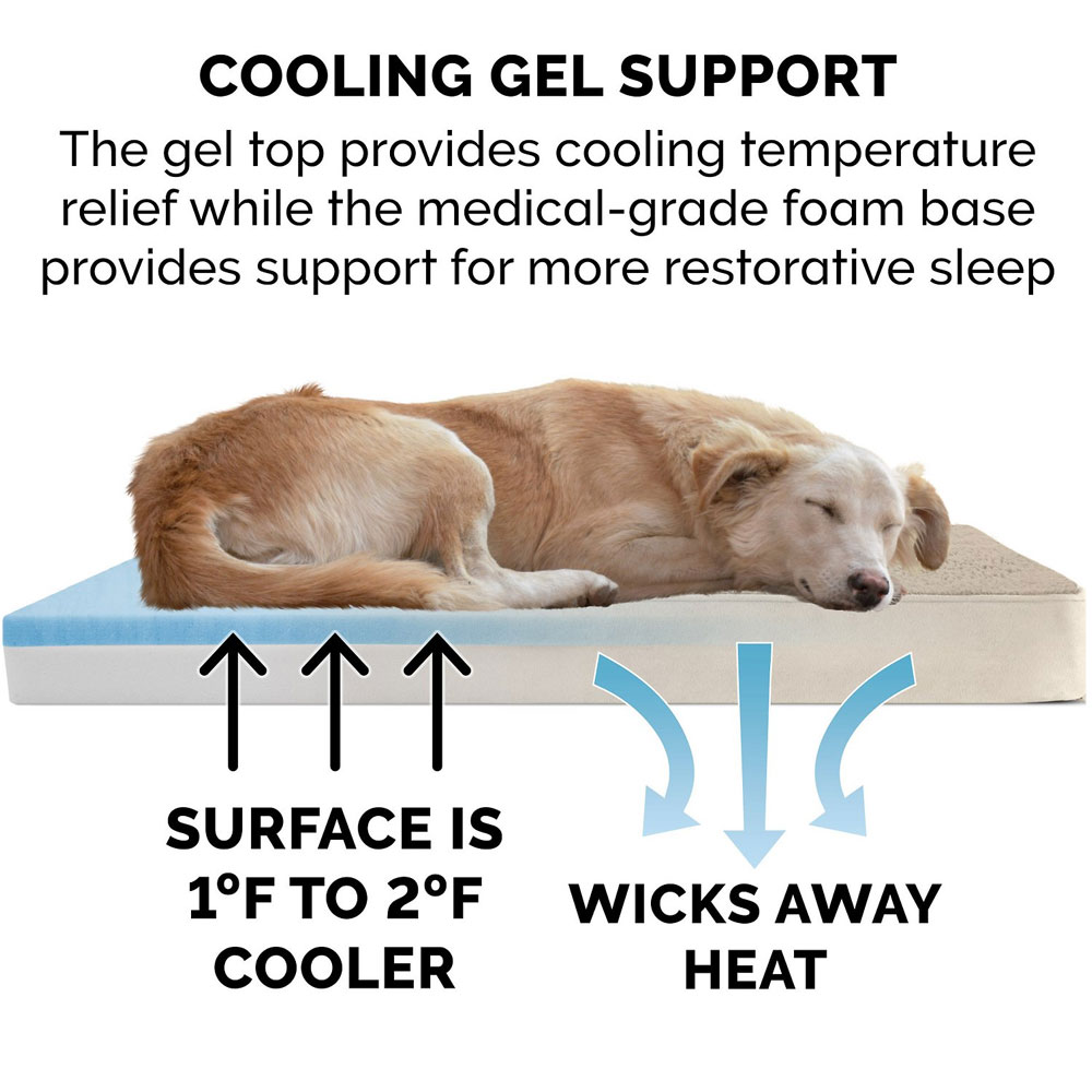 TRRYSUDEDLX-COLNGGLTP-PTBD-CLY-MD