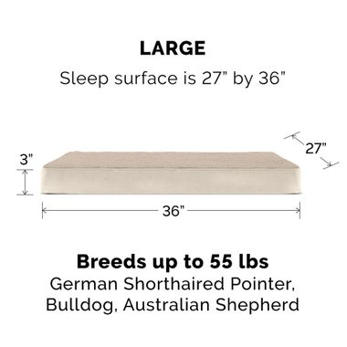 TRRYSUDEDLX-COLNGGLTP-PTBD-ESPRESO-LG